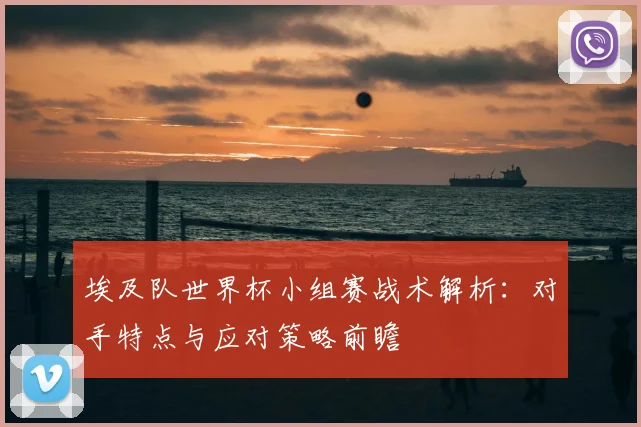 埃及队世界杯小组赛战术解析:对手特点与应对策略前瞻