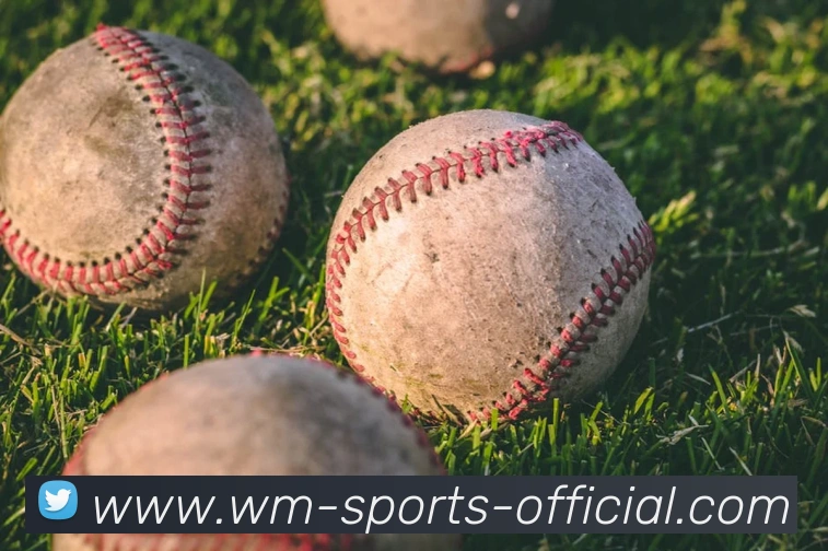 完美体育官网APP 封面图